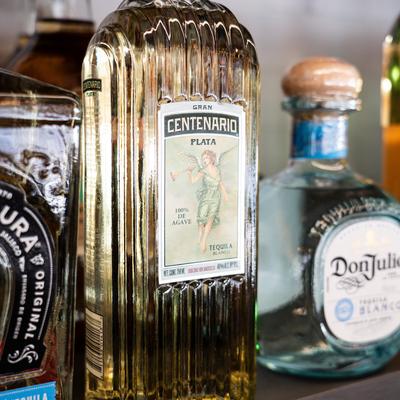 gallery photo number 15