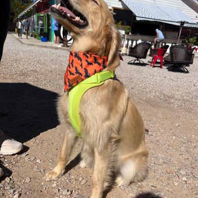 gallery photo number 30