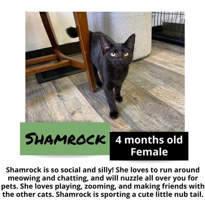 gallery photo number 17