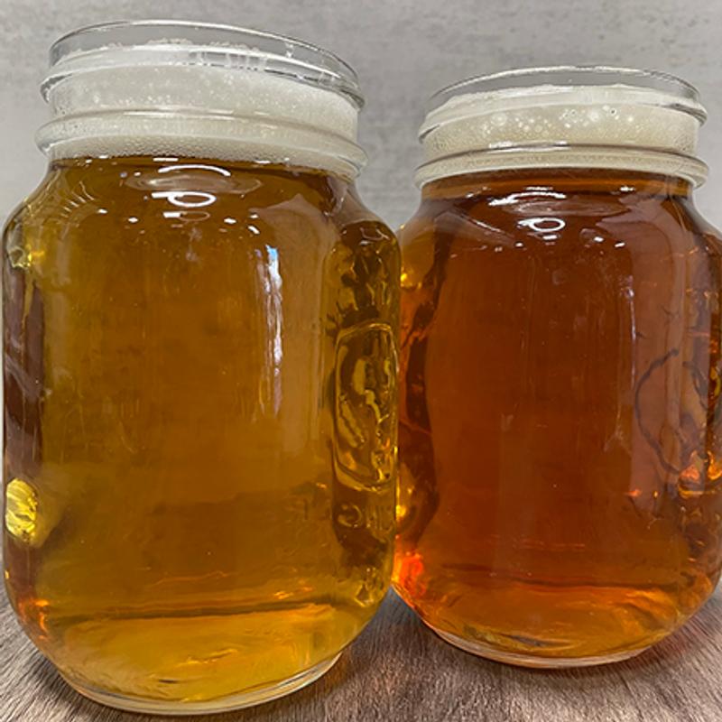 Microbrew Draft photo