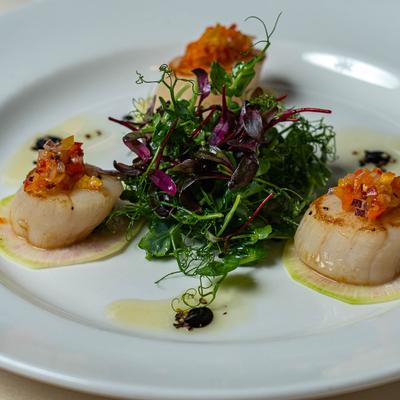 Seared scallops with salad.