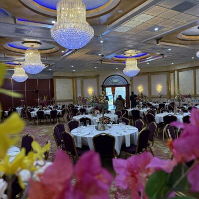 gallery photo number 34