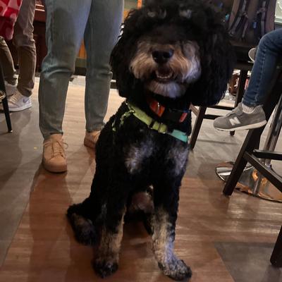 gallery photo number 16