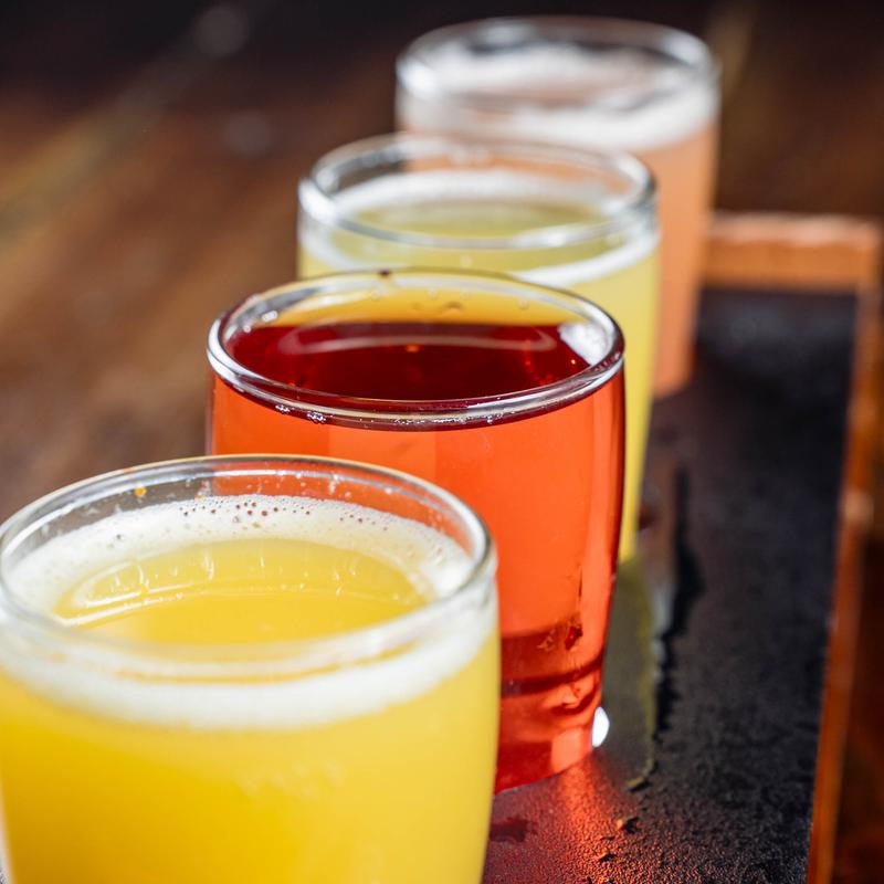 Mimosa Flight photo