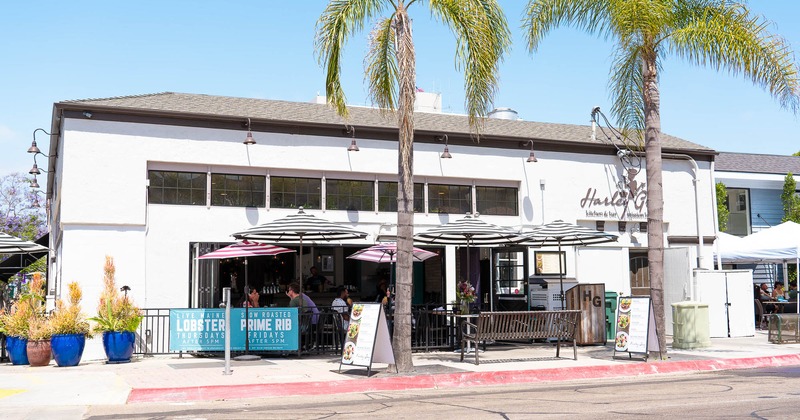 Exterior, view over street on patio with parasols and palms in front