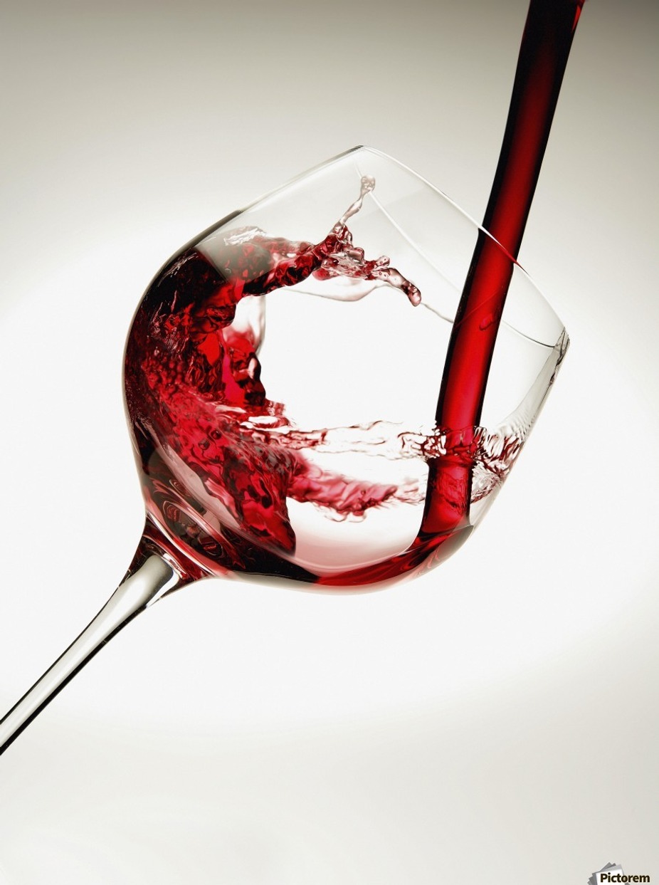 Etruscan Imports Italian Wine Dinner event photo