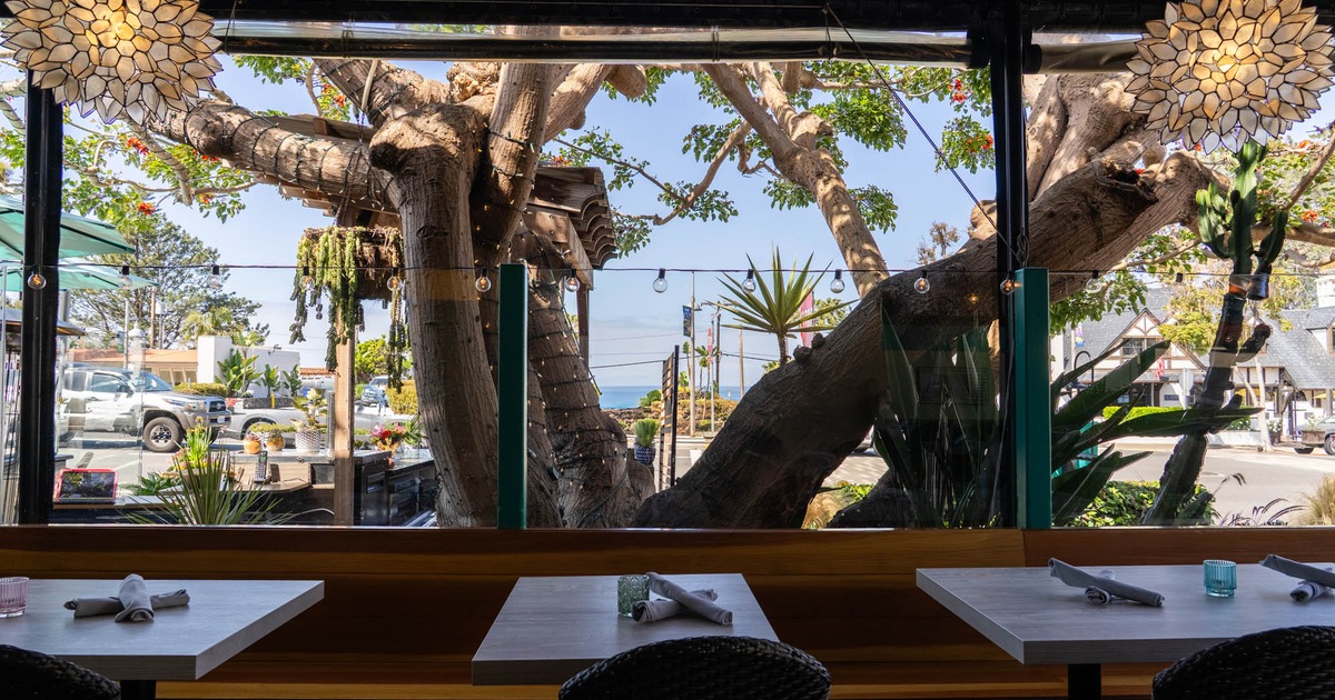 Covered patio with tables, pendant lights, and a large tree