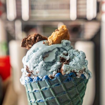 gallery photo number 22