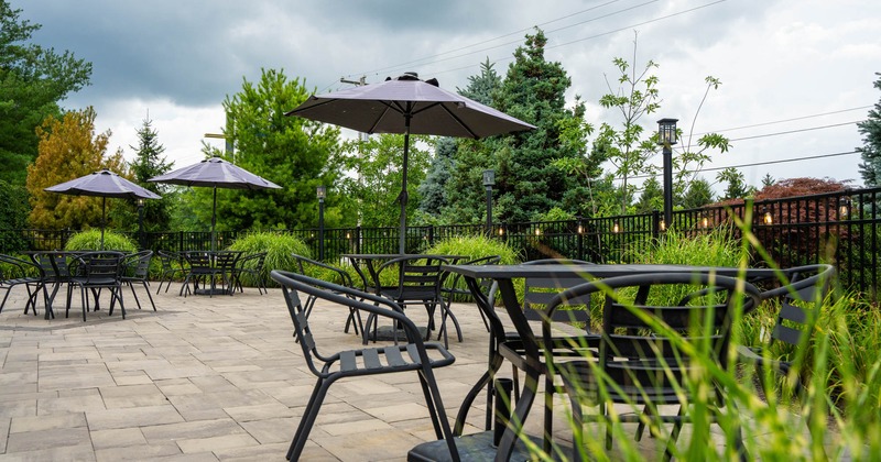 Exterior, partially covered seating area, tables and chairs under parasols, plant decoration