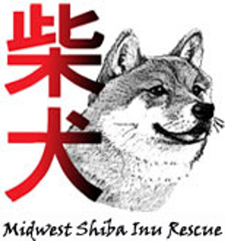 Drink For Dogs - Midwest Shiba Inu Rescue event photo