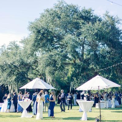 gallery photo number 84