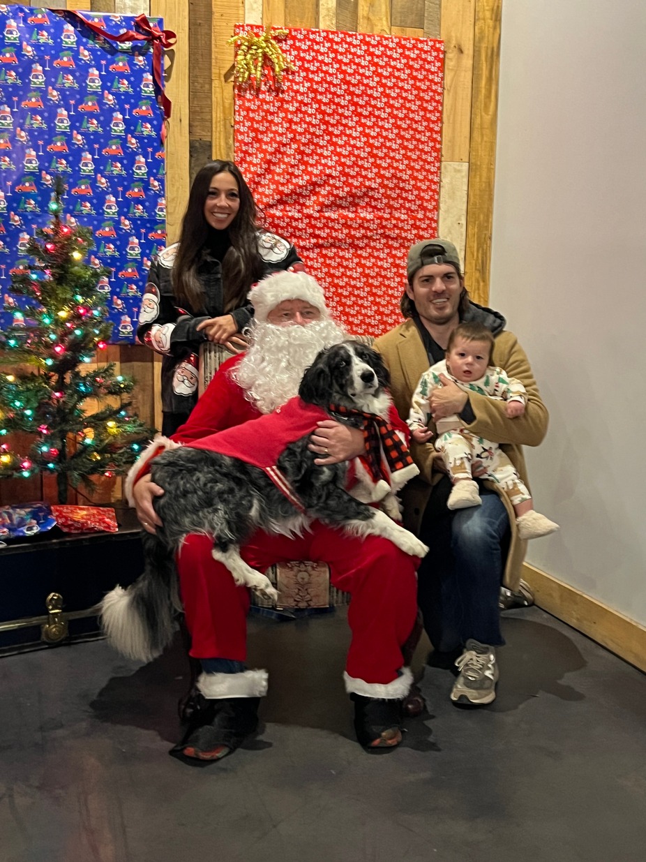 Annual Holiday First Sunday of the month Pawfect Match Pet Adoption event photo