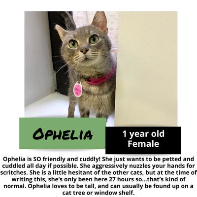 gallery photo number 9