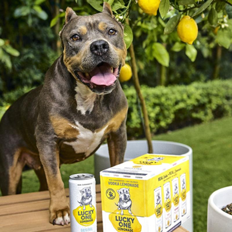 Lucky One Peach Lemonade photo