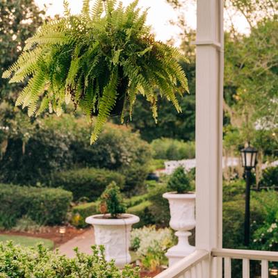 gallery photo number 9