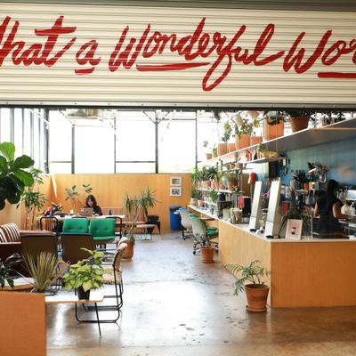 View of the interior with signage, seating area and numereus potted plants.