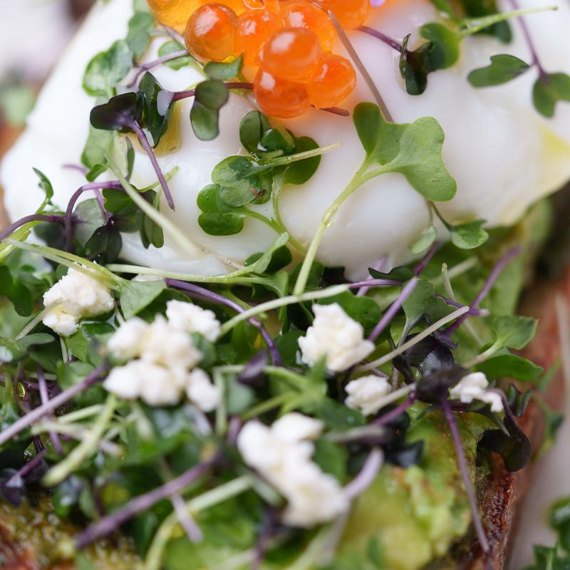 menu item 103 of 116, Avocado Toast