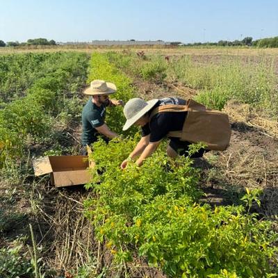 gallery photo number 5