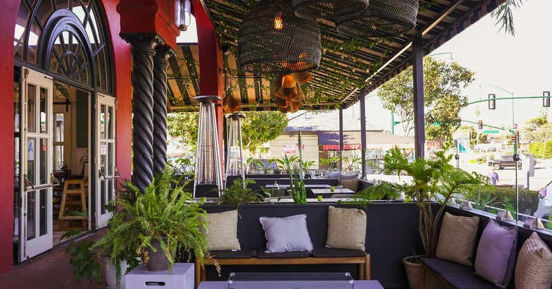 Covered patio decorated with a lot of plants