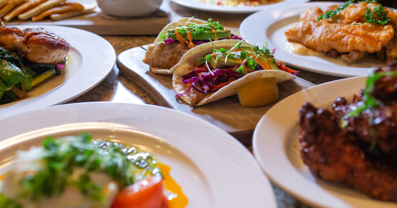 Different dishes closeup