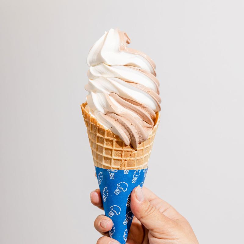 Homemade Ice Cream photo