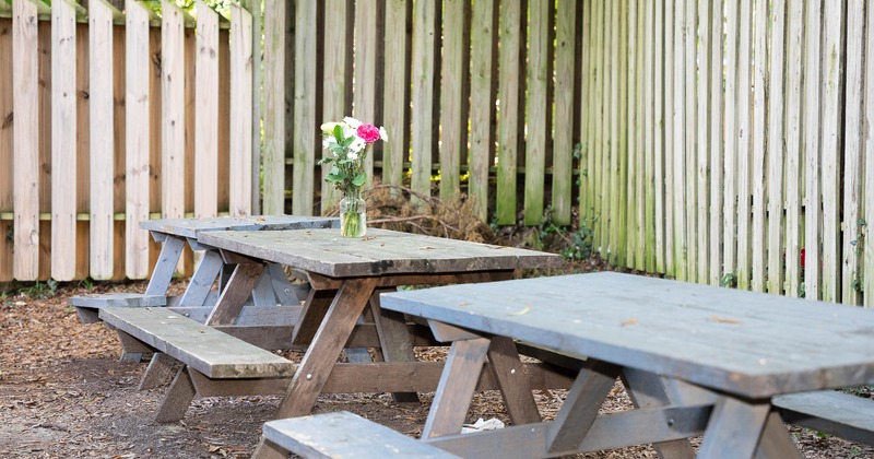 Exterior, picnic tables in the yard
