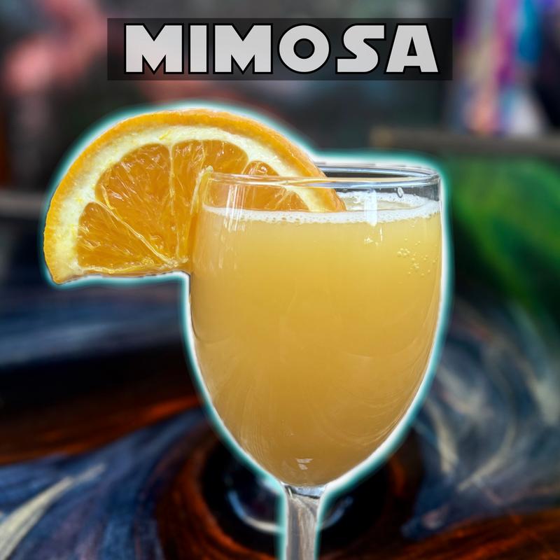 Mimosa photo