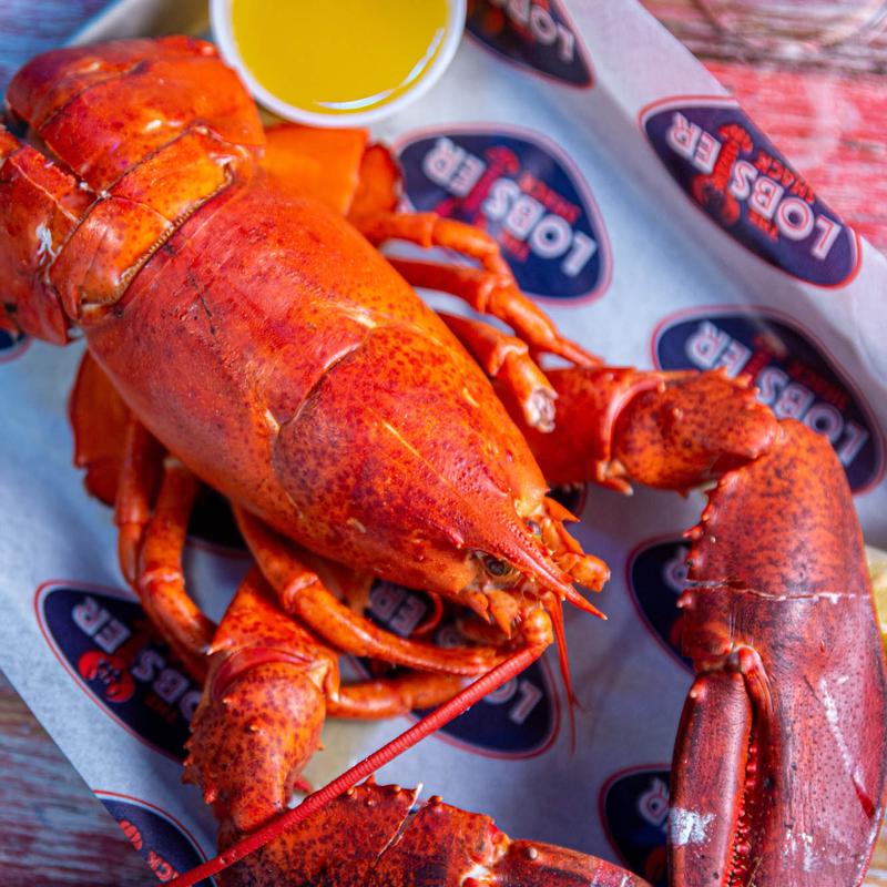 Live Maine Lobster photo