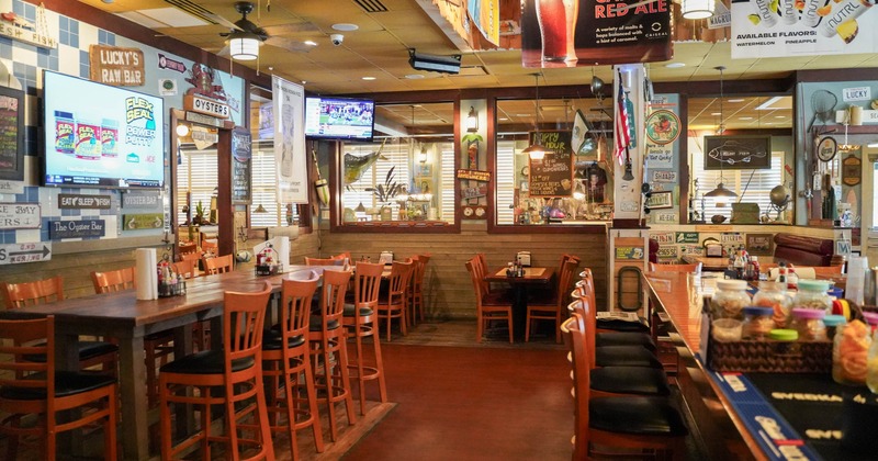 Interior, bar and bar stools