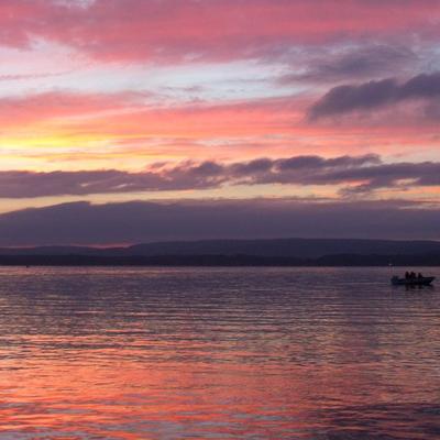 gallery photo number 24