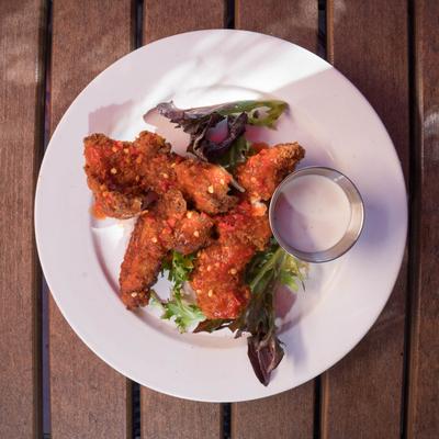 hours fried buffalo alligator, top view.