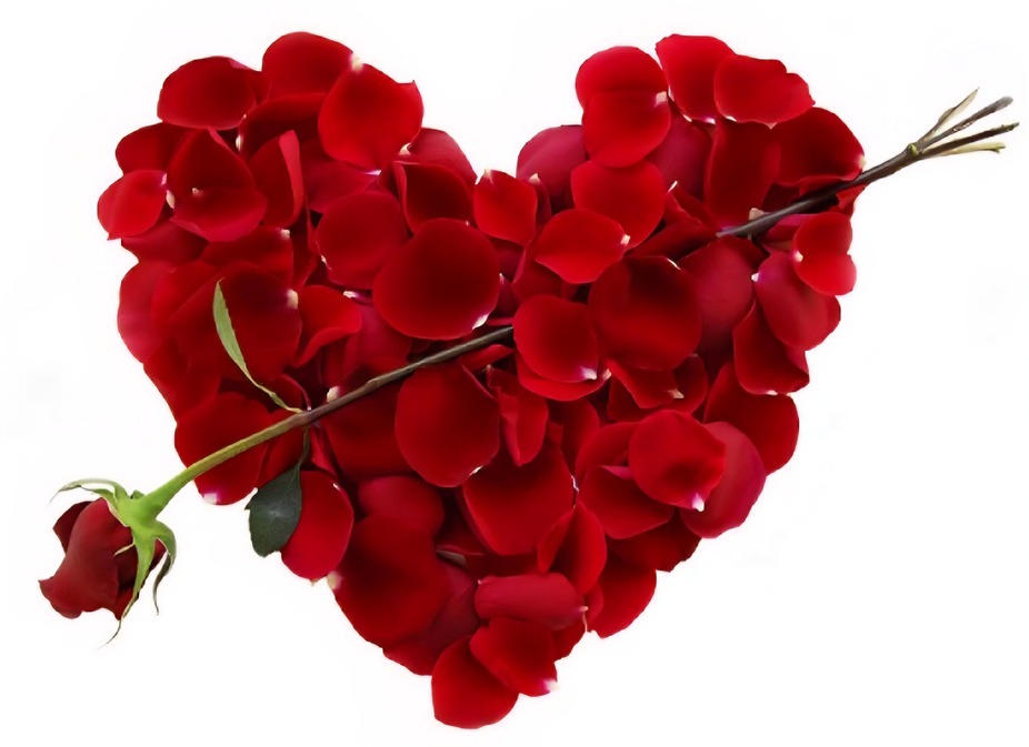 Valentines Night event photo