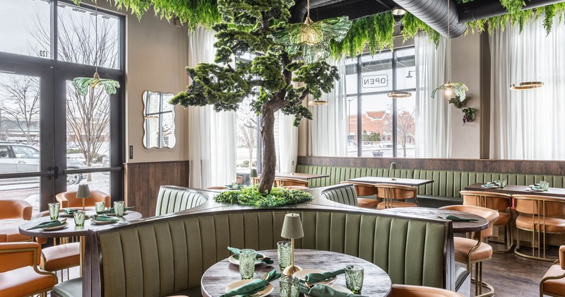 Interior, seating area with a bonzai tree in the middlee