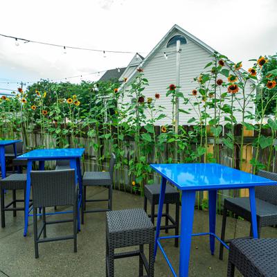 Outdoor patio with blue tables and wicker chairs surrounded by sunflowers.