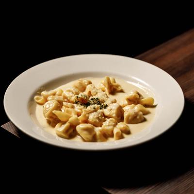 Fiocchi served in cheese cream sauce, garnished with Parmesan cheese and herbs.