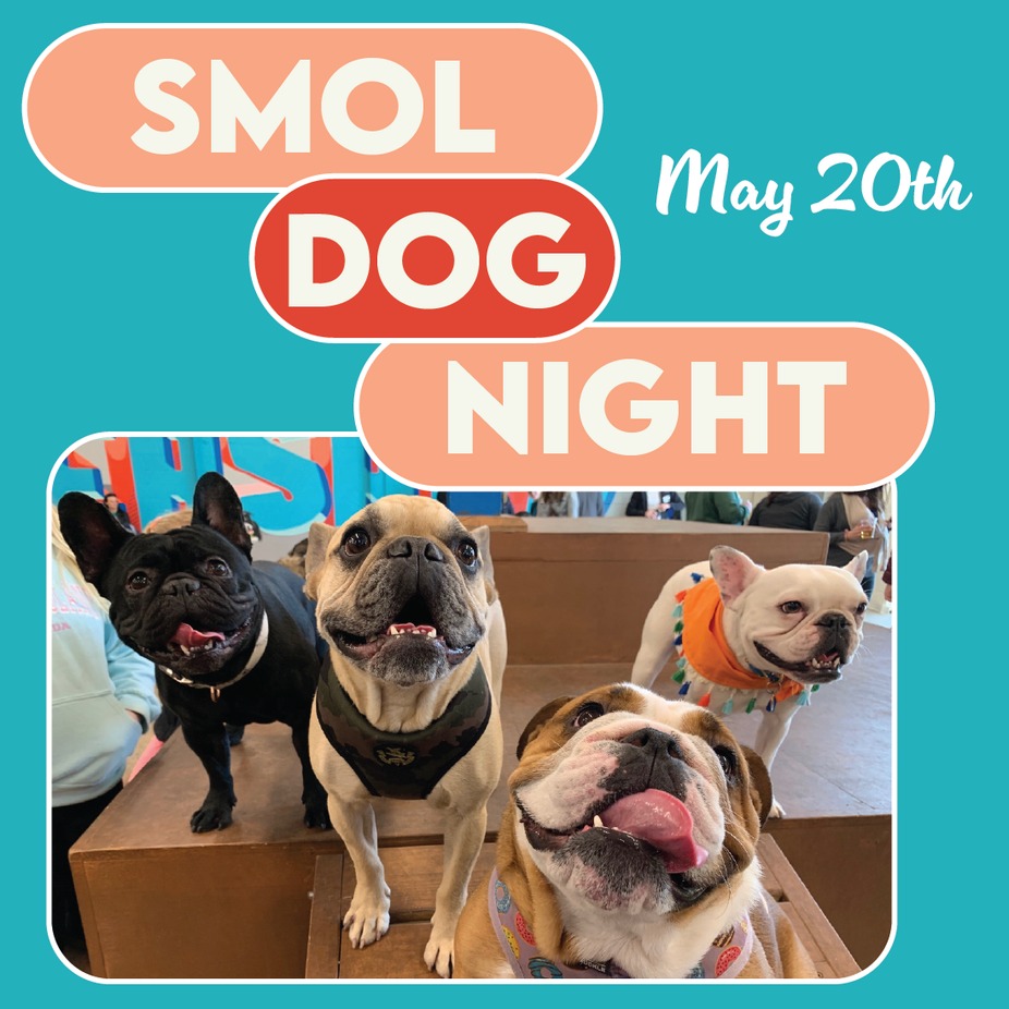 SMOL DOG NIGHT event photo