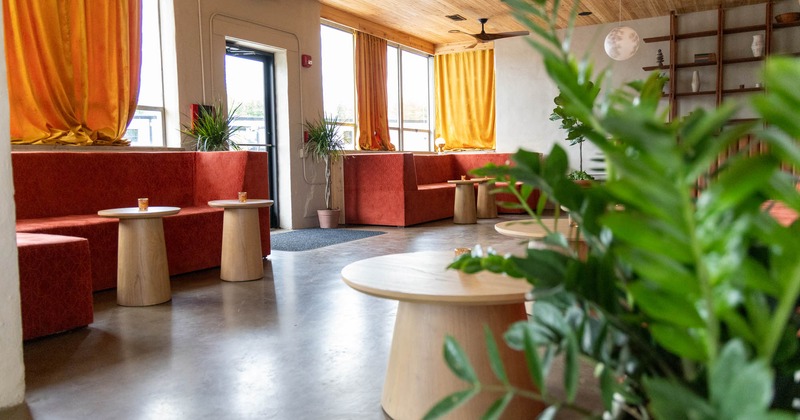 Seating area, wide view, plants, couch, coffee tables
