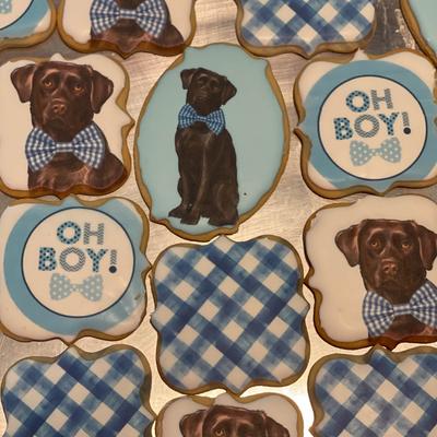 gallery photo number 19