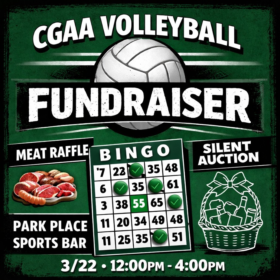 Park Volleyball Prize Bingo Fundraiser event photo