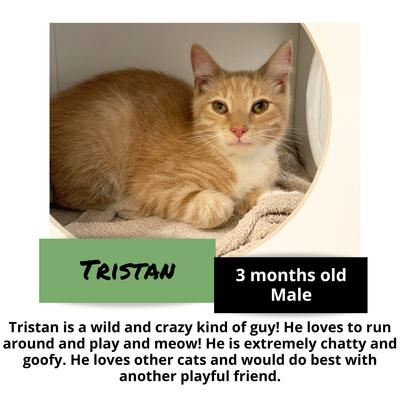 gallery photo number 7