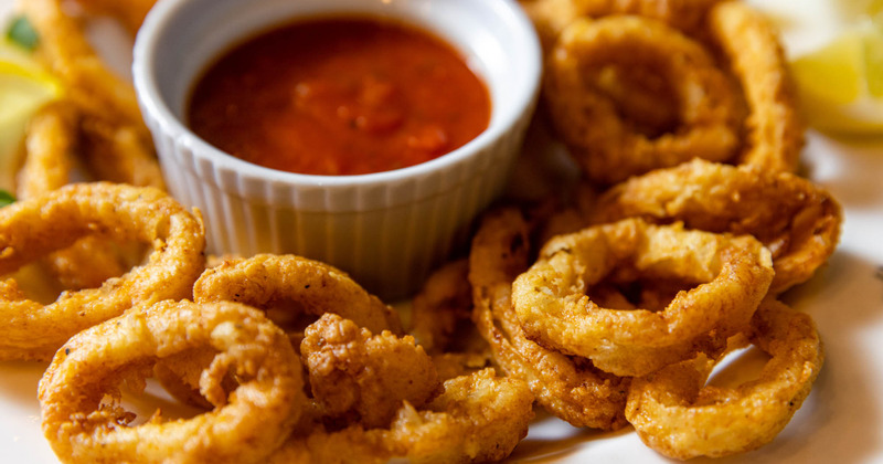 Calamari and marinara dip, closeup