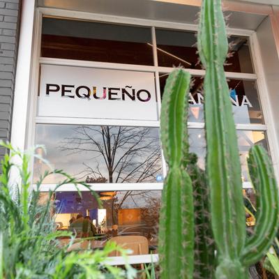 Exterior, a cactus in front of the door