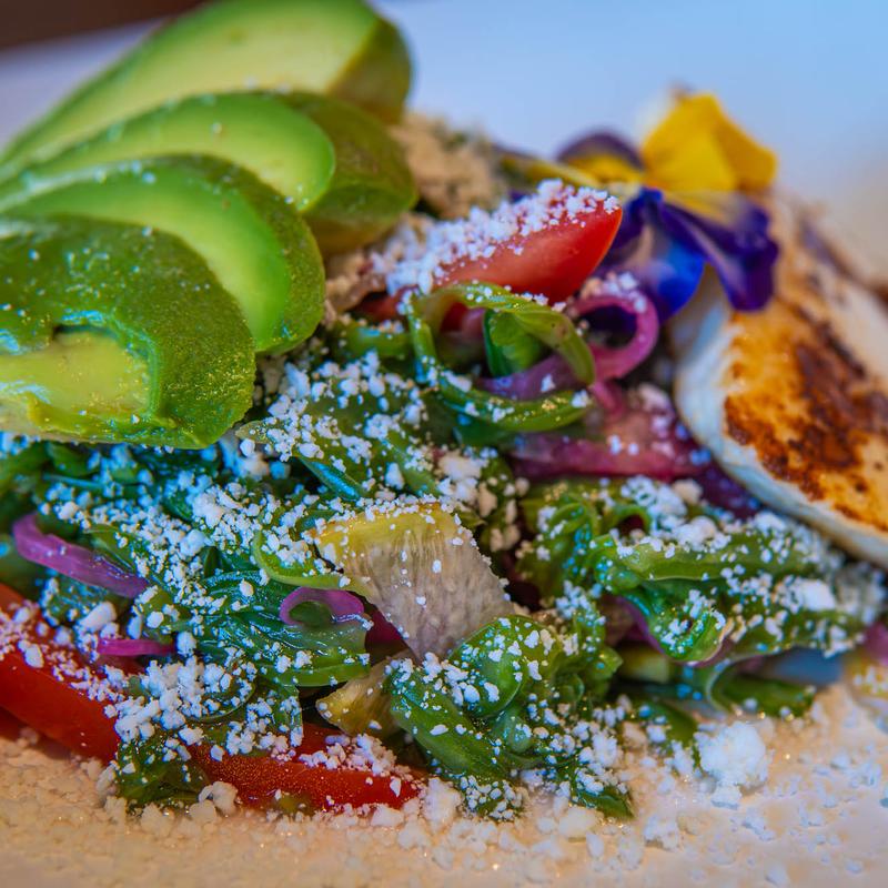 Nopal Salad with Grilled Cheese photo