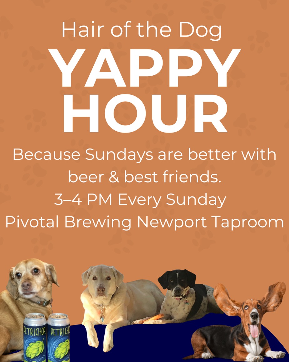 Hair of the Dog Yappy Hour #newport event photo