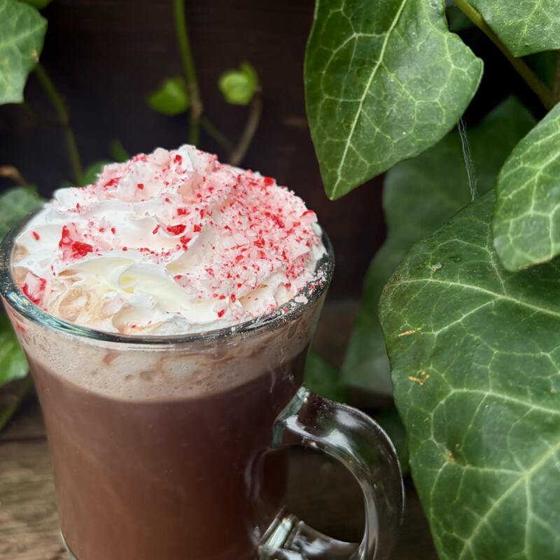 Candy Cane Cocoa photo