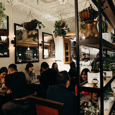 Guests dining surrounded by potted plants.