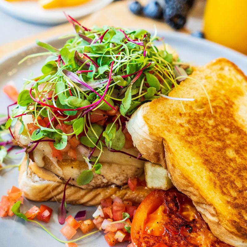 Grilled Chicken Sandwich photo