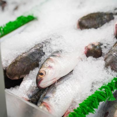 Fresh fish displayed on a bed of ice on a  fish market stall.