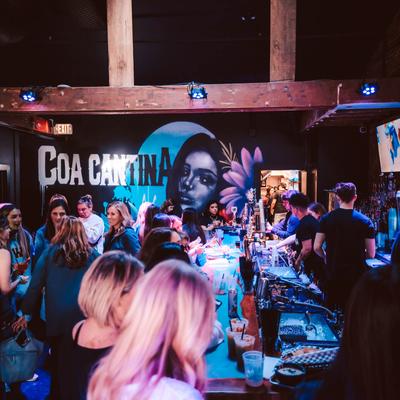 gallery photo number 115