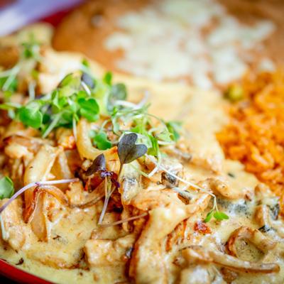 Pollo a la crema, close up.